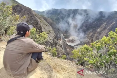 Mulai 11 Maret, Pendakian Gunung Ciremai Ditutup Sebulan Guna Pemulihan Ekosistem