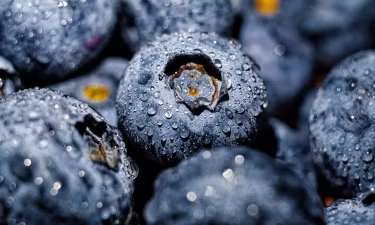 Sumber dari Vitamin C dan A, Ini 5 Manfaat Buah Acai Berry untuk Kesehatan Tubuh, Mulai dari Jantung hingga Otak