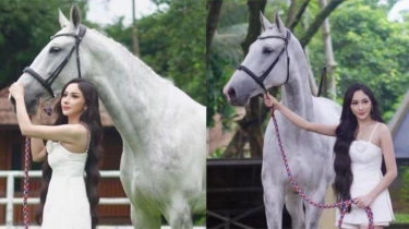Guntur Triyoga Beri Kado Kuda Mewah Berjenis Warmblood untuk Apris Devita, Harganya Rp 1,5 Miliar?