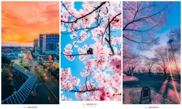 Warganet X Ramai Pakai Aplikasi untuk Tampilkan Informasi Kamera pada Foto, Banyak Dipakai Fotografer Jepang!