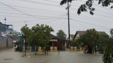 Derita Warga Demak Akibat Banjir Tanggul Sungai Wulan Jebol, Lokasi Pengungsian Tak Ada