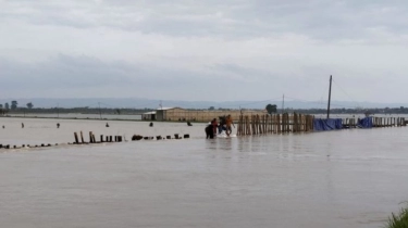 Banjir Demak Bikin Sawah Jadi 'Lautan', Selat Muria Muncul Kembali?