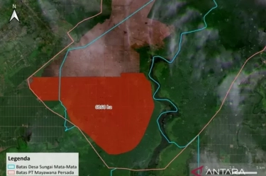 Ekspansinya Picu Deforestasi, Aliansi Masyarakat Sipil Kalimantan Barat Desak KLHK Cabut Izin PT MP