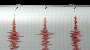 Besarnya Guncangan Gempa Tuban, Terasa Hingga Pulau Kalimantan!