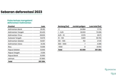 Daftar 10 Provinsi di Indonesia yang Mengalami Deforestasi Terparah pada 2023
