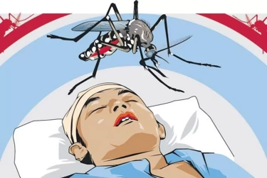Jangan Lengah! Waspada Demam Berdarah Dengue,  Begini Tips Kemenkes Untuk Penanganan  Pertamanya