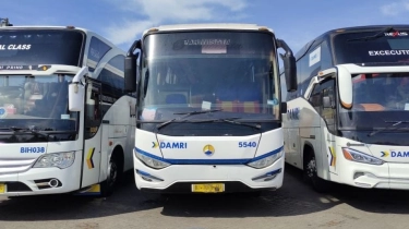 Jadi Operator Bus Mudik Gratis BUMN, Gimana Layanan Reguler Damri?