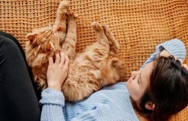 Cat Lover Harus Baca, Simak 7 Bahasa Cinta dan Sayang Kucing ke Majikan yang Sering Tidak Disadari