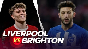 Prediksi Liverpool vs Brighton di Liga Inggris: Preview, Head to Head, Skor dan Live Streaming