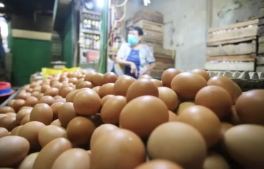 Inflasi RI Meroket Jadi 3,05 Persen Per Maret 2024 Dipicu Harga Telur Ayam hingga Bawang Putih