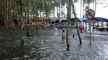BMKG Minta Warga Waspada Ancaman Banjir Rob di Pesisir Banten dan Jateng saat Lebaran Idul Fitri