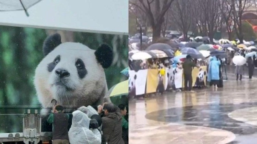 Panda Fu Bao Kembali ke China, 6.000 Warga Korsel Ucapkan Selamat Tinggal dengan Penuh Haru