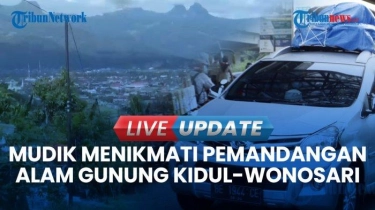 VIDEO Ketika Mudik Sambil Menikmati Pemandangan Alam di Jalan Lintas Gunung Kidul-Wonosari
