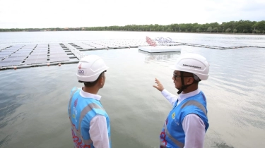PLN Indonesia Power Kebut Pembangunan PLTS 500 MW dari Proyek Hijaunesia