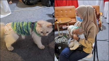 Mudik ke Sumatera, Pemotor Ini Bawa Kucing Kesayangan, Bekali Popok dan Diikat di Tangan