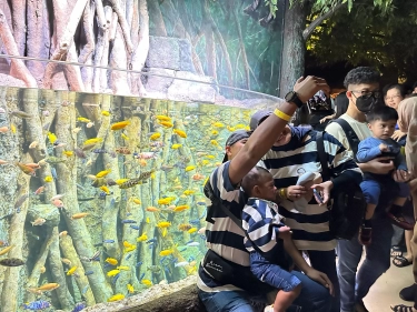 Libur Lebaran Berkunjung ke Oceanarium BXSea di Bintaro Tangsel, Segini Harga Tiket Masuknya