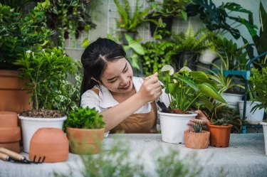 Intip 13 Hobi Terbaik yang Bisa Dilakukan Seorang Introvert, Mulai dari Memasak hingga Berkebun