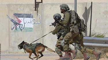 Pasukan Elite Brigade Golani Israel Masuk Jebakan Hizbullah, Kena Ledakan hingga Dilaporkan Tewas