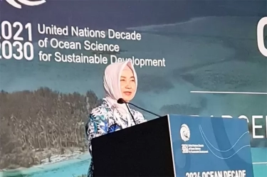 Di Forum PBB, Kepala BMKG Singgung PR Dunia Wujudkan Laut yang Aman