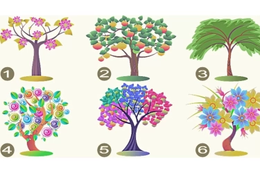 Tes Kepribadian: 6 Pohon Ini Ungkap Sifat Dominan yang Dimiliki Seseorang, Anda Pilih Nomor Berapa?