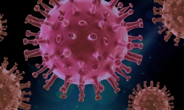 Dinkes Surabaya Minta Masyarakat Tidak Panik, Begini Tips Hadapi Flu Singapura, Simak!