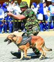 Polri Kerahkan Tim Anjing Pelacak Amankan Sidang Putusan Sengketa Pilpres 2024 di MK