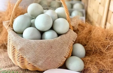 10 Manfaat Telur Bebek Bagi Kesehatan, Cukup untuk Memenuhi Kebutuhan Gizi Anda