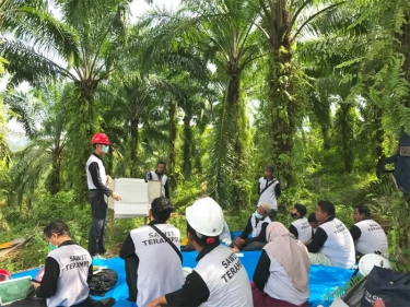 Dukung Indonesia dan Malaysia, Kelompok Bipartisan di AS pun Anggap UU Anti-Deforestasi Uni Eropa Tak Adil bagi Petani