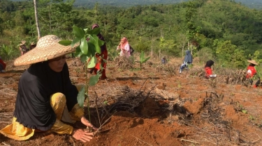 Telkom Dukung Pemulihan 82,1 Ha Lahan Kritis melalui Reboisasi 33.800 Bibit Pohon