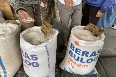 Harga Beras Bulog Naik Rp 1.600 jadi Rp 12.500 Per Kilogram