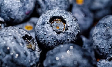 Kaya Akan Nutrisi, Berikut 8 Jenis Buah Berry yang Perlu Kalian Ketahui