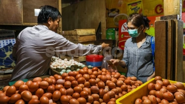 Harga Telur Ayam Mulai Merangkak Naik, Kini Jadi Rp 32.000/Kg