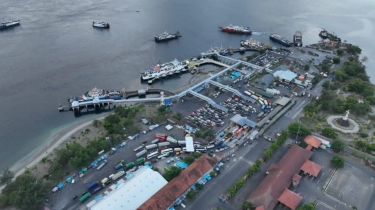 Layani 300 Pelabuhan di Indonesia, Gapasdap Harapkan Penyesuaian Tarif
