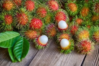 Kaya Nutrisi, Berikut 6 Alasan untuk Makan Rambutan Sebagai Buah Pilihan yang Nikmat dan Kaya Serat