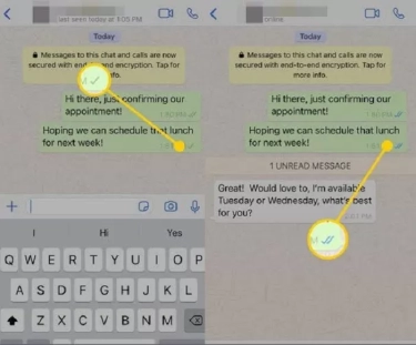 Orang yang Mematikan Centang Biru di WhatsApp Punya Ciri-Ciri Tersendiri Menurut Psikologi, Begini Cara Mematikan Centang Biru WhatsApp