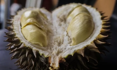 Pecinta Durian Wajib Tahu! Simak 6 Manfaat Durian bagi Tubuh yang Perlu Diketahui