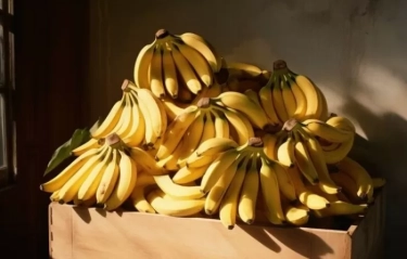 Pisang Jadi Buah Tropis Paling Sehat Dikonsumsi, Berikut 10 Alasan Wajib Memakannya Setiap Hari