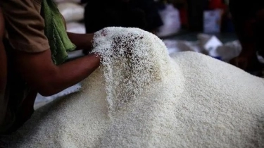 Koperasi RI Gandeng China Kembangkan Pabrik Susu dan Penggilingan Beras