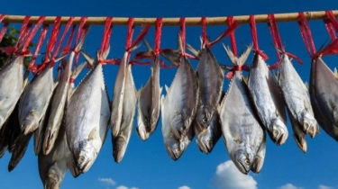 Pelaku UMKM Pengasinan Ikan Siap Dapatkan Suntikan Modal