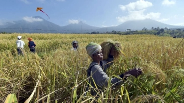 Agenda Kunjungan Wisata World Water Forum 2024: Jatiluwih Paling Disukai