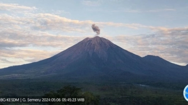 Gunung Semeru Mengamuk! Erupsi 8 Kali dalam Sehari dan Semburkan Abu Vulkanik