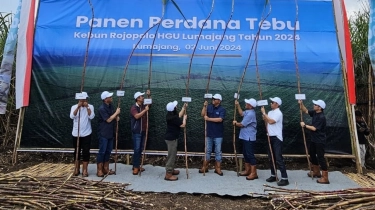 Deputi Keuangan dan Manajemen Risiko Kementerian BUMN Optimistis PTPN Mampu Jaga Stabilitas Pangan