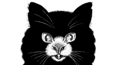 Lihat Kucing atau Tikus? Ketahui Sifat Dominanmu dalam Tes Kepribadian Ini