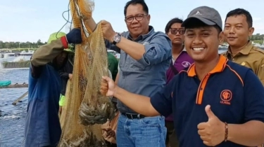 4,8 Ton Udang Vaname Dipanen di Sukamara Kalteng, Rintis Jalan ke Pasar Ekspor