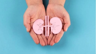 Transplantasi Organ Tidak Bisa Dilakukan Sembarangan, Hanya Kondisi Ini yang Bisa Jadi Faktor Penentu