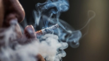 Pemerintah Diminta Maksimalkan Alternatif Lebih Rendah Risiko bagi Perokok Dewasa