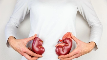 Golongan Darah Beda Tetap Bisa Donor Ginjal, Mitos atau Fakta?
