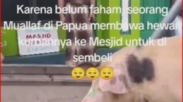 Viral! Niat Berkurban, Mualaf di Papua Bawa Babi ke Masjid