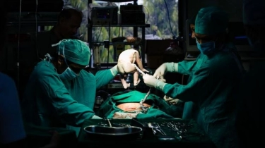 8 Arti Mimpi Operasi di Rumah Sakit, Benarkah Berkaitan dengan Hidup dan Mati?
