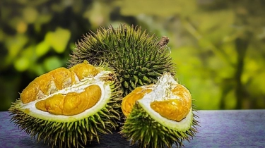 Komoditas Durian Picu Kebangkitan Ekonomi, Pemprov Sulteng Hadiri Rakor Kemenko Marves